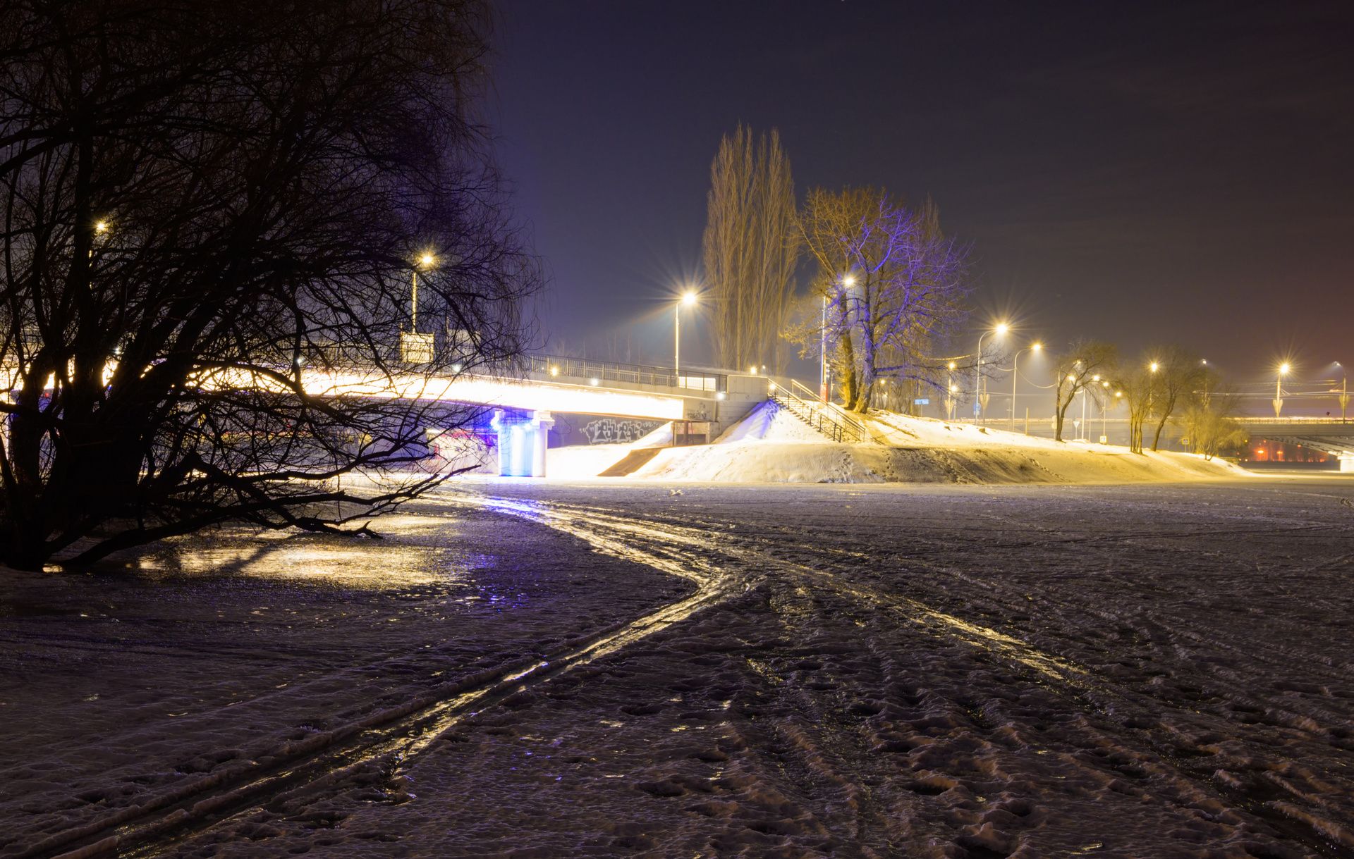 Синее дерево